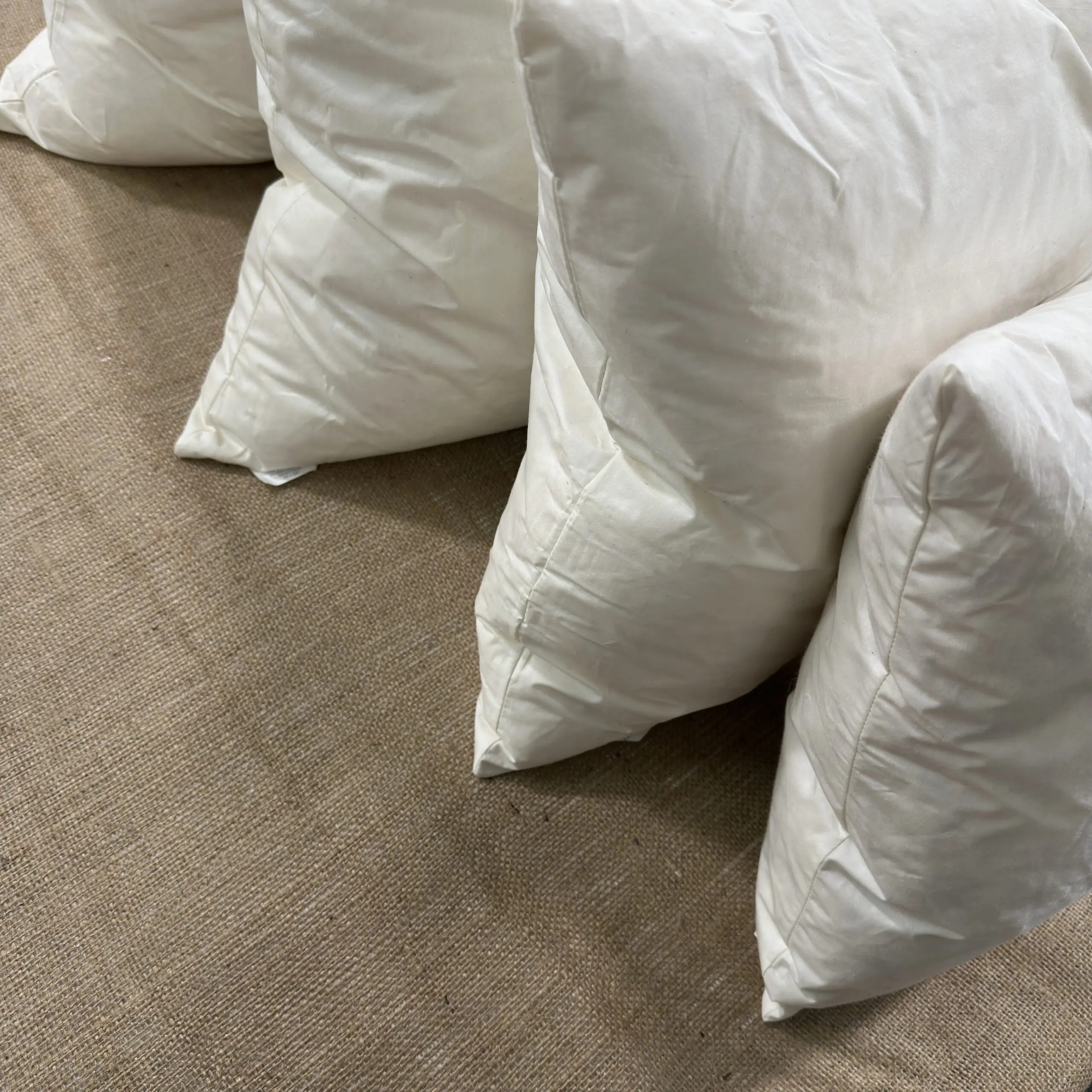 BDDB8BCB-C9C0-4046-8336-7BB247DA6A49 Feather Cushion Inners - Image 1