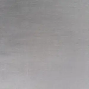 Seal Squirrel - Image 4