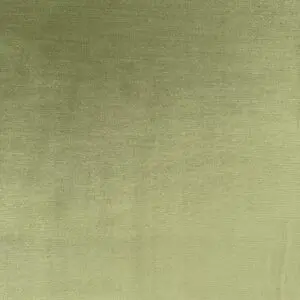 Seal Olive - Image 4