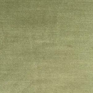 Seal Olive - Image 5