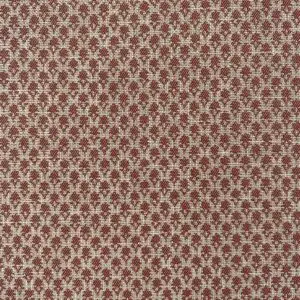 Ashmoor Ruby - Image 5