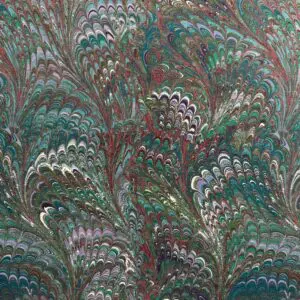 Inkdrift Peacock - Image 4