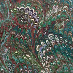 Inkdrift Peacock - Image 5