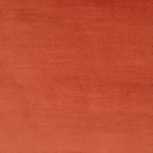 Seal Tango - Image 4