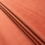 Seal Tango