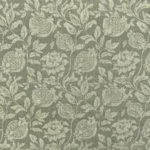 Pomaria Lichen - Image 4